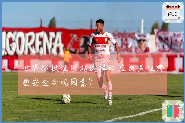 世界杯投注网站选择时应该关注哪些安全合规因素？