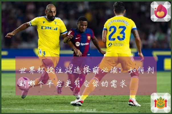 世界杯投注站选择前必读：如何判断哪个平台更符合你的需求