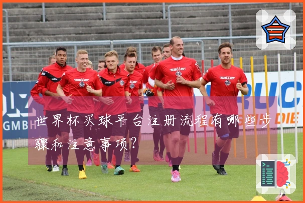 世界杯买球平台注册流程有哪些步骤和注意事项？
