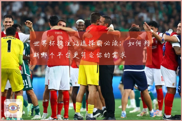 世界杯投注站选择前必读：如何判断哪个平台更符合你的需求